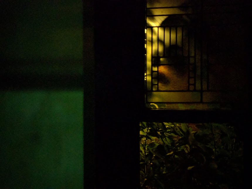 A dark window in Marina's apartment.