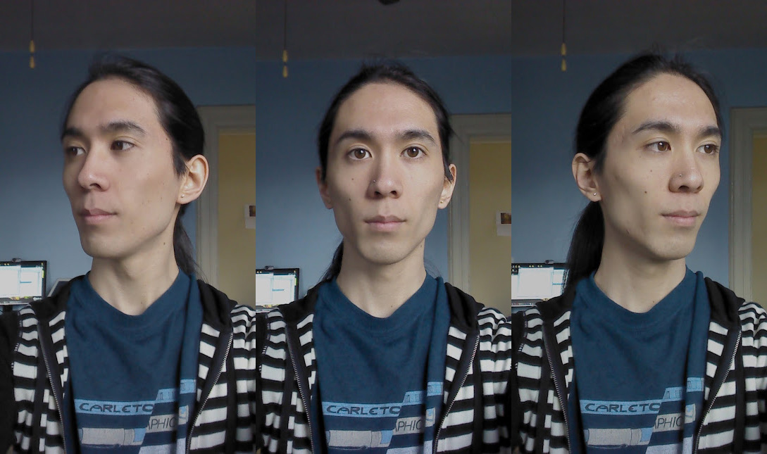 Marina's face from 3 different angles. Her features are fairly sharp and angular.